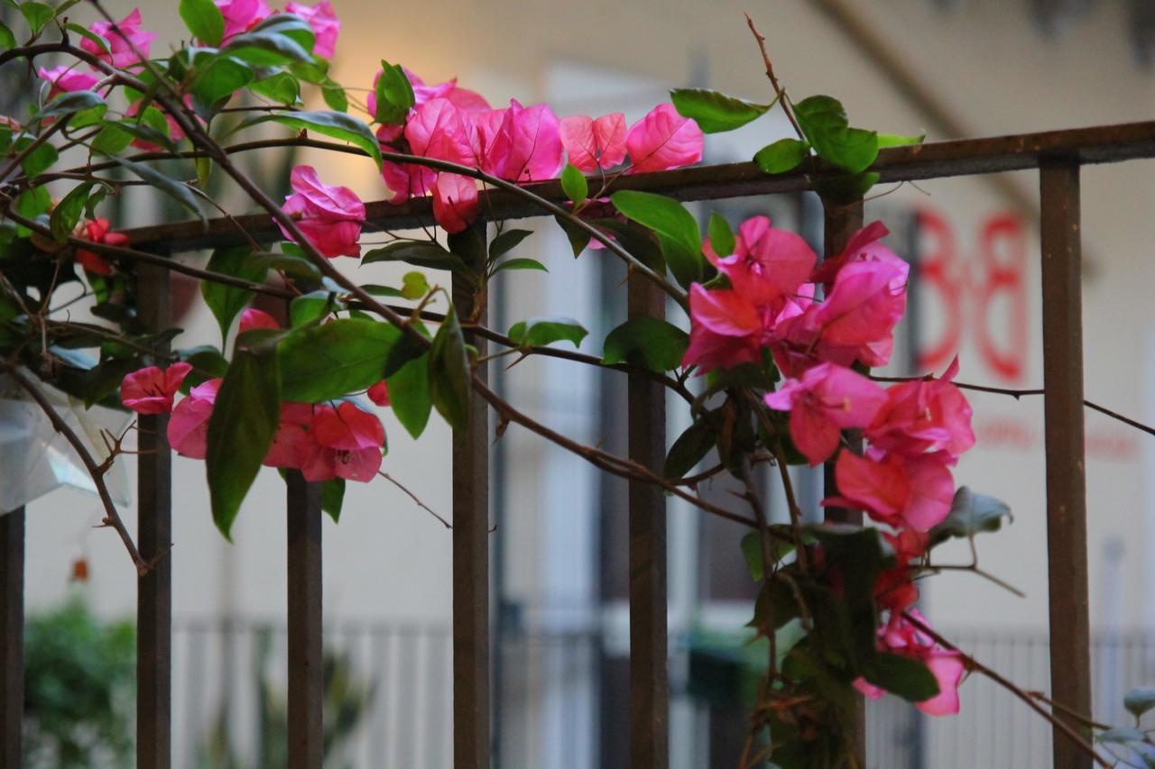 Cortile Stesicoro Couette-café